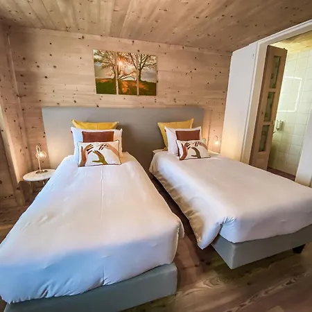 4 Saisons With Jacuzzi - * Ovronnaz