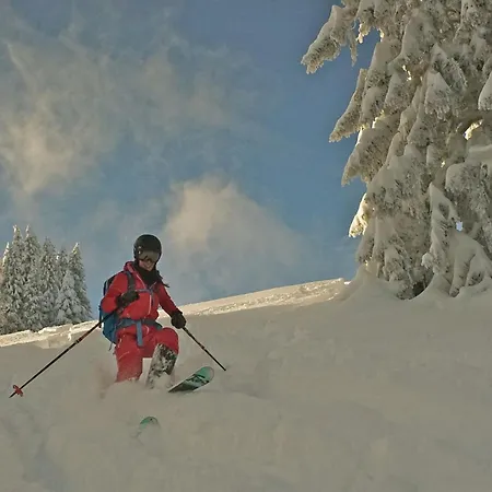 4 Saisons With Jacuzzi -