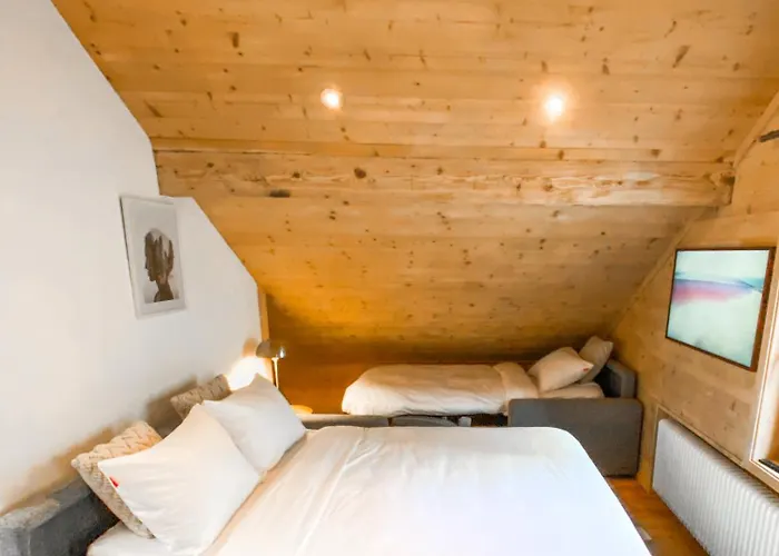 4 Saisons With Jacuzzi - Alpesi faház Ovronnaz