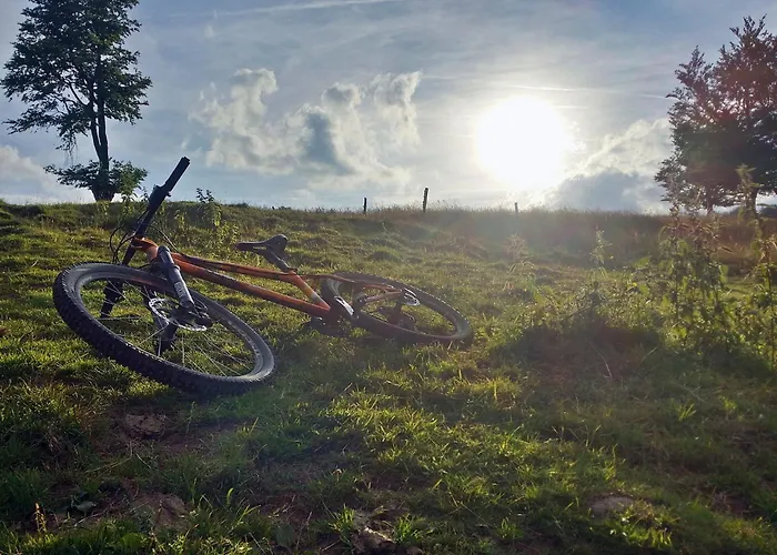 Alpesi faház 4 Saisons With Jacuzzi - Ovronnaz