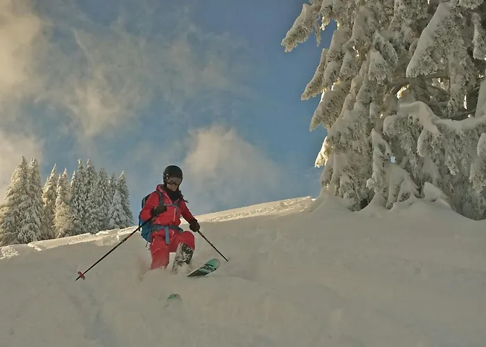 4 Saisons With Jacuzzi -